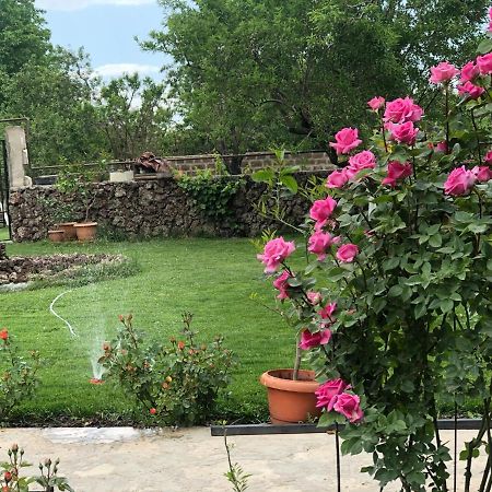 مبيت وإفطار غارني Chez Yvette المظهر الخارجي الصورة